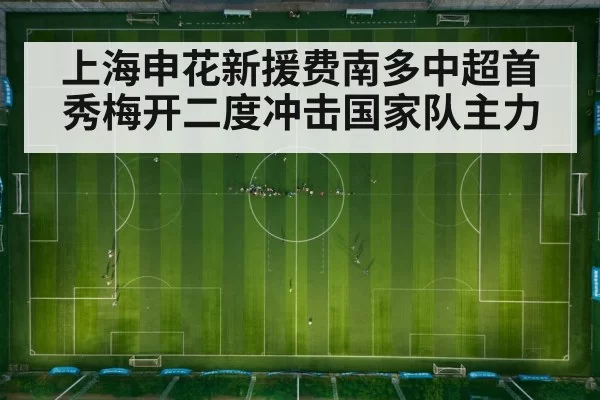 上海申花新援费南多中超首秀梅开二度冲击国家队主力