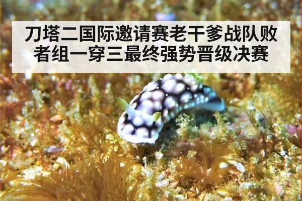 刀塔二国际邀请赛老干爹战队败者组一穿三最终强势晋级决赛