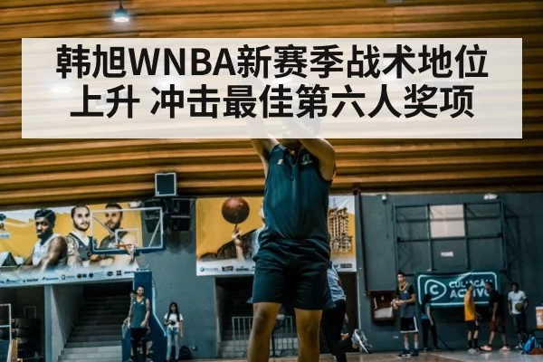 韩旭WNBA新赛季战术地位上升 冲击最佳第六人奖项