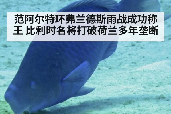 范阿尔特环弗兰德斯雨战成功称王 比利时名将打破荷兰多年垄断